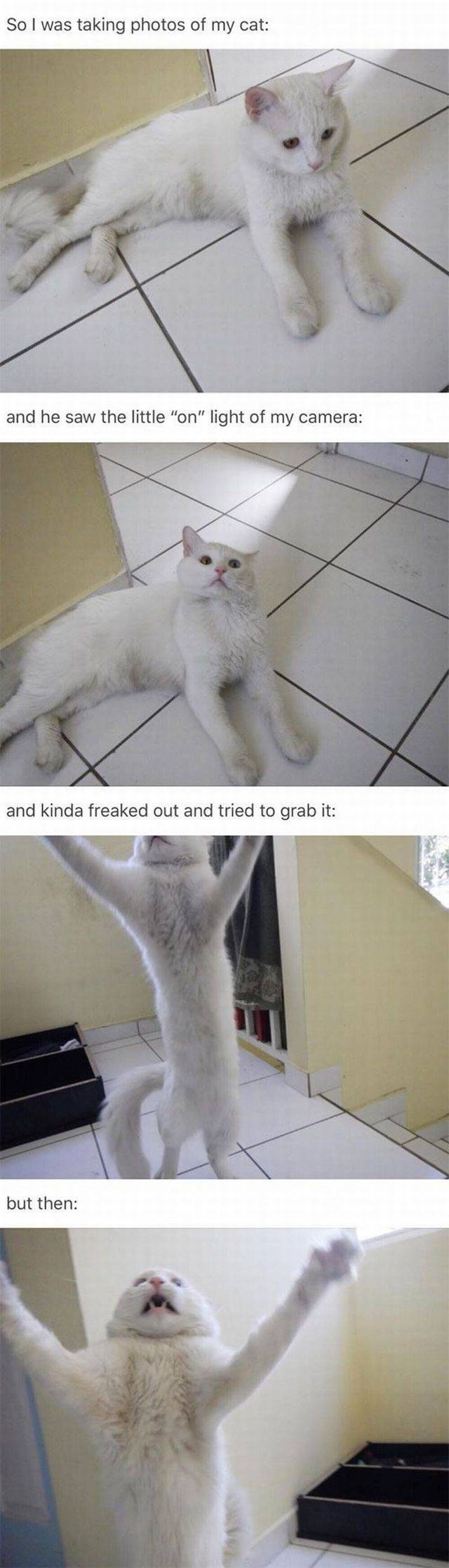 daily picdump 101 pics 31.html - 101 HD Photos | Premium Gallery 2017