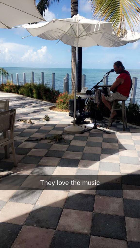 morning picdump 52 pics 18.html - 52 HD Photos | Premium Gallery 2017