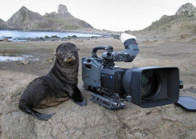 Daily Picdump