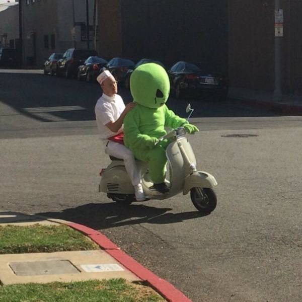 Daily Picdump