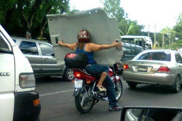 Daily Picdump