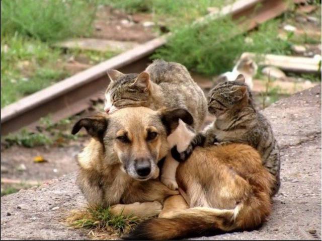 daily picdump 97 pics 29.html - 97 HD Photos | Premium Gallery 2017