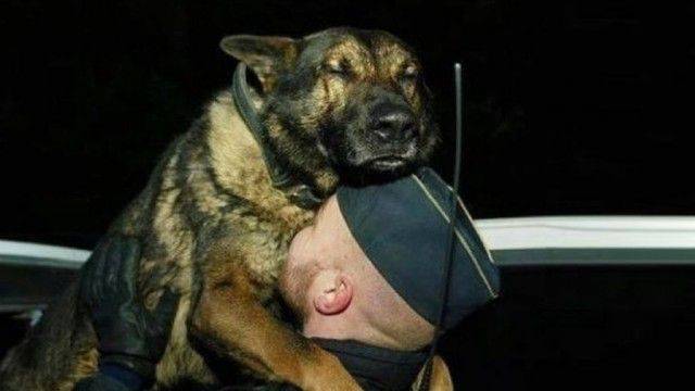 daily picdump 97 pics 29.html - 97 HD Photos | Premium Gallery 2017