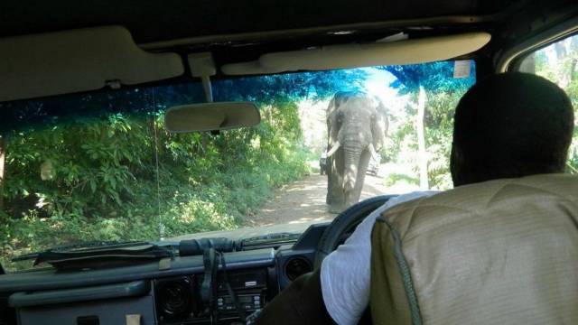 daily picdump 97 pics 29.html - 97 HD Photos | Premium Gallery 2017