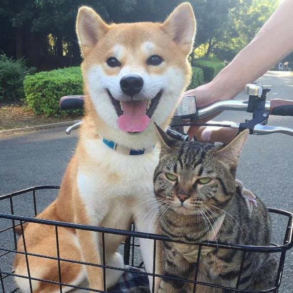daily picdump 97 pics 29.html - 97 HD Photos | Premium Gallery 2017