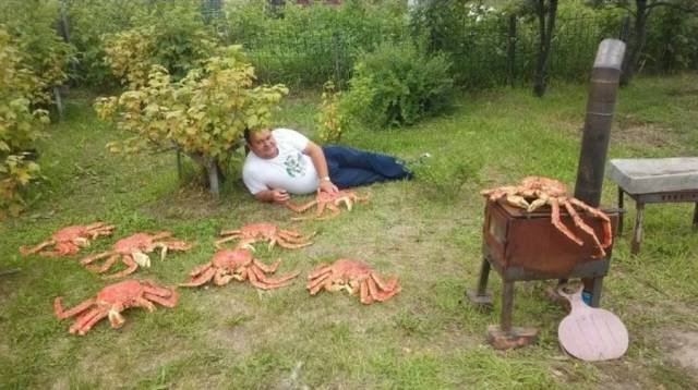daily picdump 97 pics 29.html - 97 HD Photos | Premium Gallery 2017