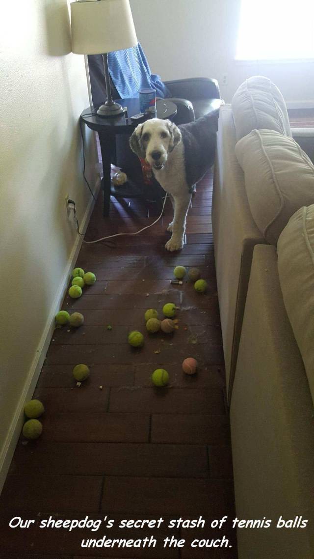 Daily Picdump