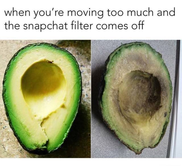 Fresh Memes Are The Fuel Internet’s Working On