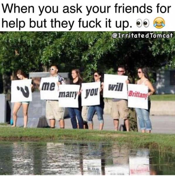 Fresh Memes Are The Fuel Internet’s Working On