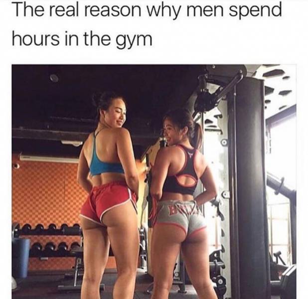 Fresh Memes Are The Fuel Internet’s Working On