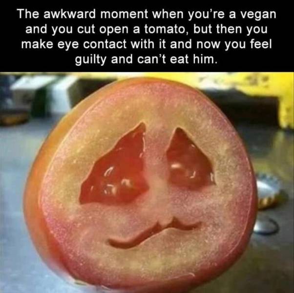 Fresh Memes Are The Fuel Internet’s Working On