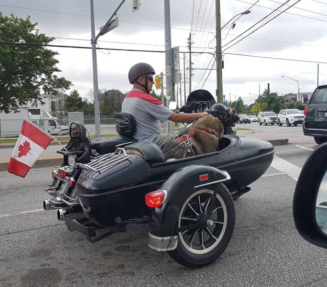 Morning Picdump
