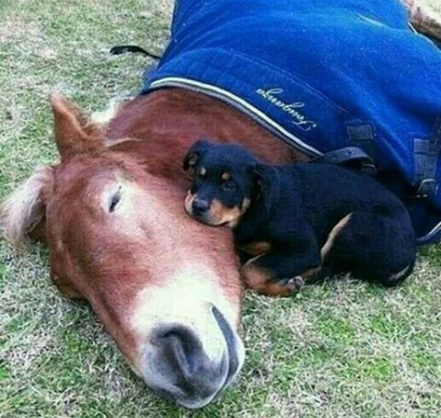 Morning Picdump