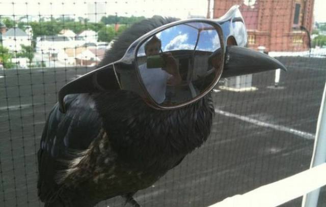 Morning Picdump