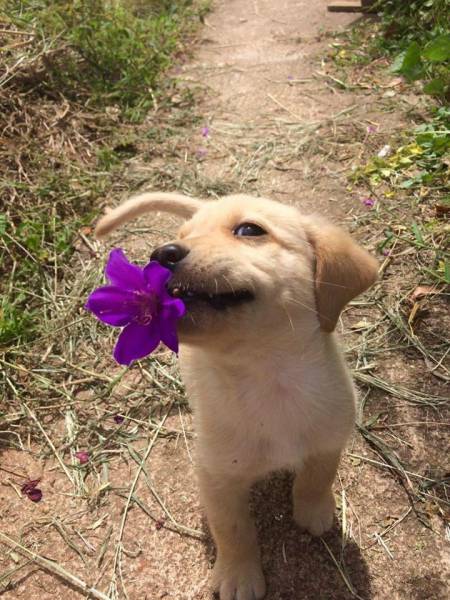 morning picdump 50 pics 14.html - 50 HD Photos | Premium Gallery 2017