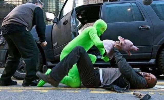 Daily Picdump