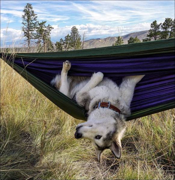 daily picdump 96 pics 8.html - 96 HD Photos | Premium Gallery 2017