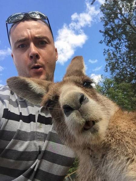 daily picdump 96 pics 8.html - 96 HD Photos | Premium Gallery 2017