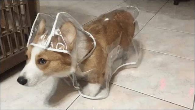 daily picdump 96 pics 8.html - 96 HD Photos | Premium Gallery 2017