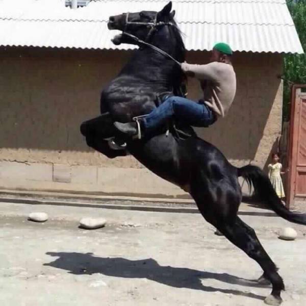 daily picdump 96 pics 8.html - 96 HD Photos | Premium Gallery 2017