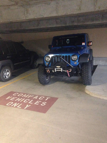 morning picdump 53 pics 26.html - 53 HD Photos | Premium Gallery 2017