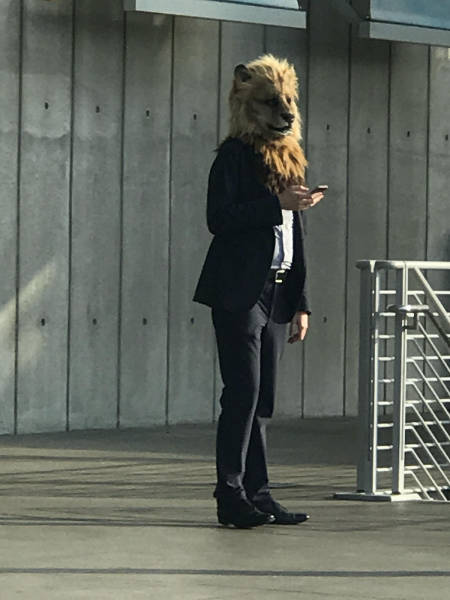 morning picdump 53 pics 26.html - 53 HD Photos | Premium Gallery 2017