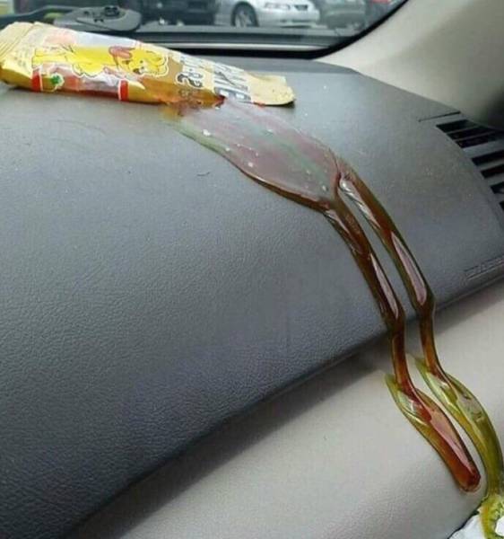 morning picdump 53 pics 26.html - 53 HD Photos | Premium Gallery 2017