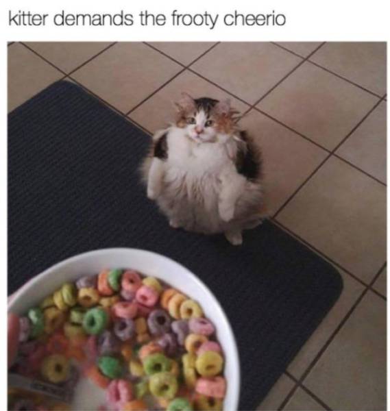 morning picdump 53 pics 26.html - 53 HD Photos | Premium Gallery 2017