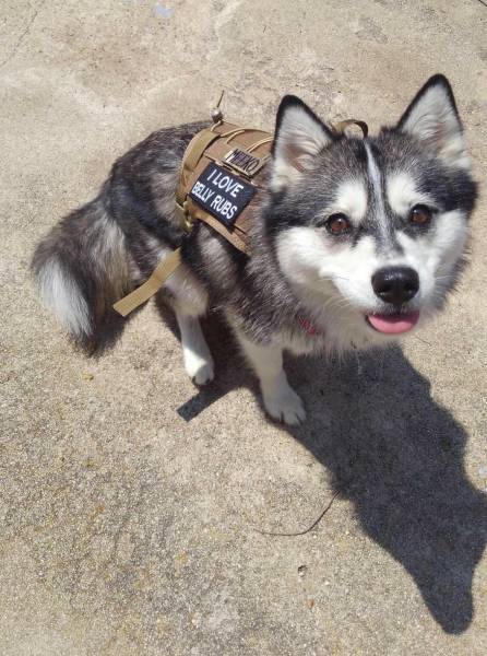 morning picdump 53 pics 26.html - 53 HD Photos | Premium Gallery 2017