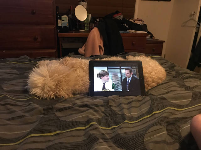 morning picdump 53 pics 26.html - 53 HD Photos | Premium Gallery 2017