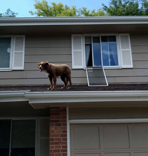 Daily Picdump [WEEKEND EDITION]