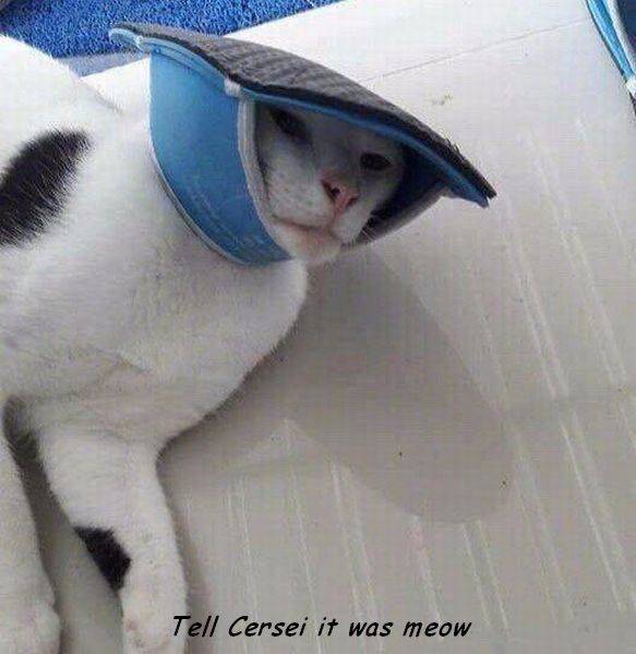 Daily Picdump [WEEKEND EDITION]