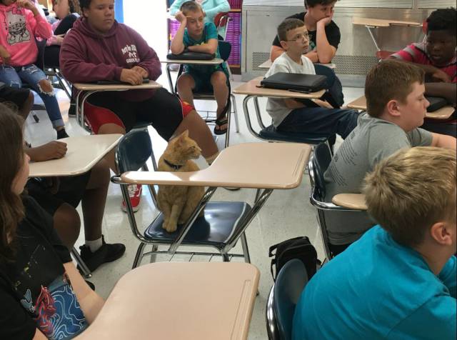 Daily Picdump [WEEKEND EDITION]