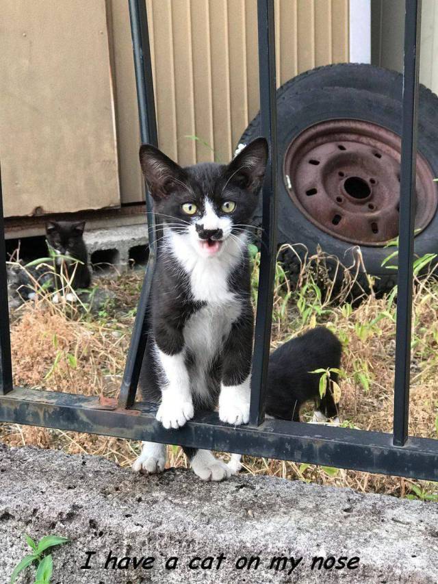 Daily Picdump [WEEKEND EDITION]