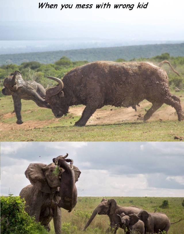 Daily Picdump [WEEKEND EDITION]