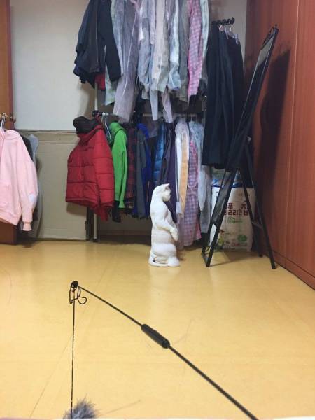 daily picdump 96 pics 39.html - 96 HD Photos | Premium Gallery 2017