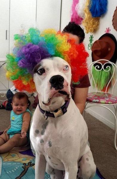 daily picdump 96 pics 39.html - 96 HD Photos | Premium Gallery 2017