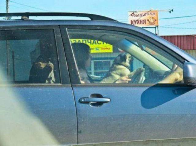 daily picdump 96 pics 39.html - 96 HD Photos | Premium Gallery 2017