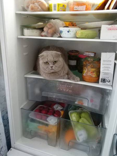 daily picdump 96 pics 39.html - 96 HD Photos | Premium Gallery 2017