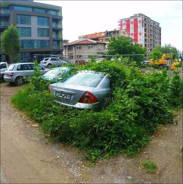 daily picdump 96 pics 39.html - 96 HD Photos | Premium Gallery 2017