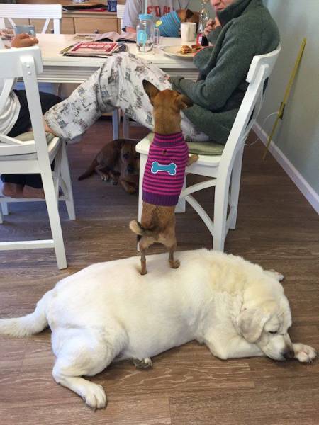 daily picdump 96 pics 39.html - 96 HD Photos | Premium Gallery 2017