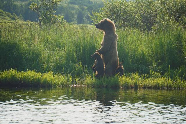 daily picdump 96 pics 39.html - 96 HD Photos | Premium Gallery 2017