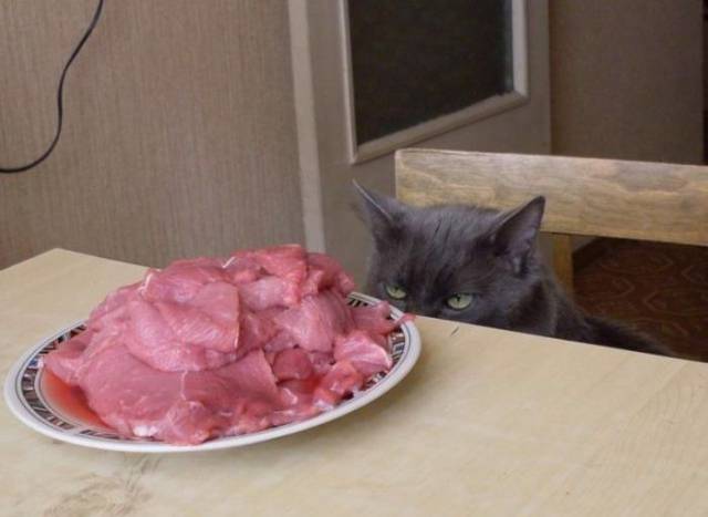 daily picdump 104 pics 34.html - 104 HD Photos | Premium Gallery 2017