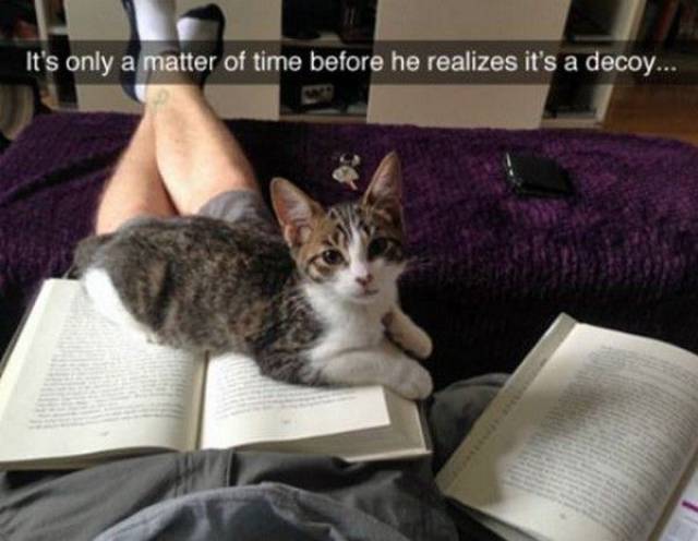 Daily Picdump