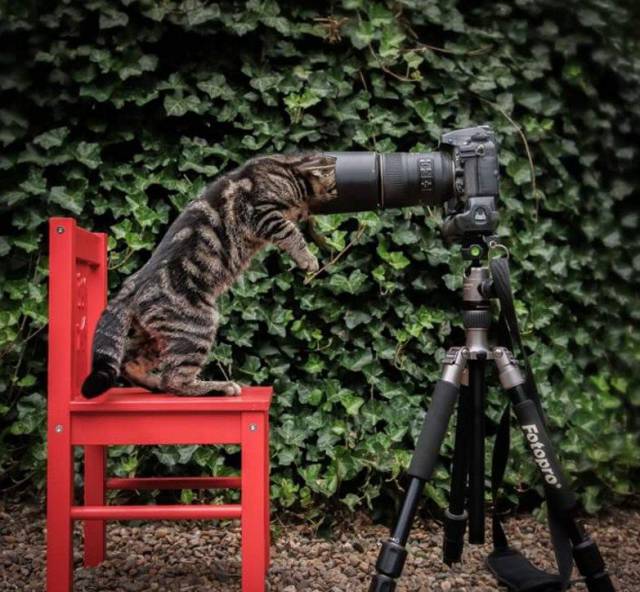 daily picdump 104 pics 34.html - 104 HD Photos | Premium Gallery 2017