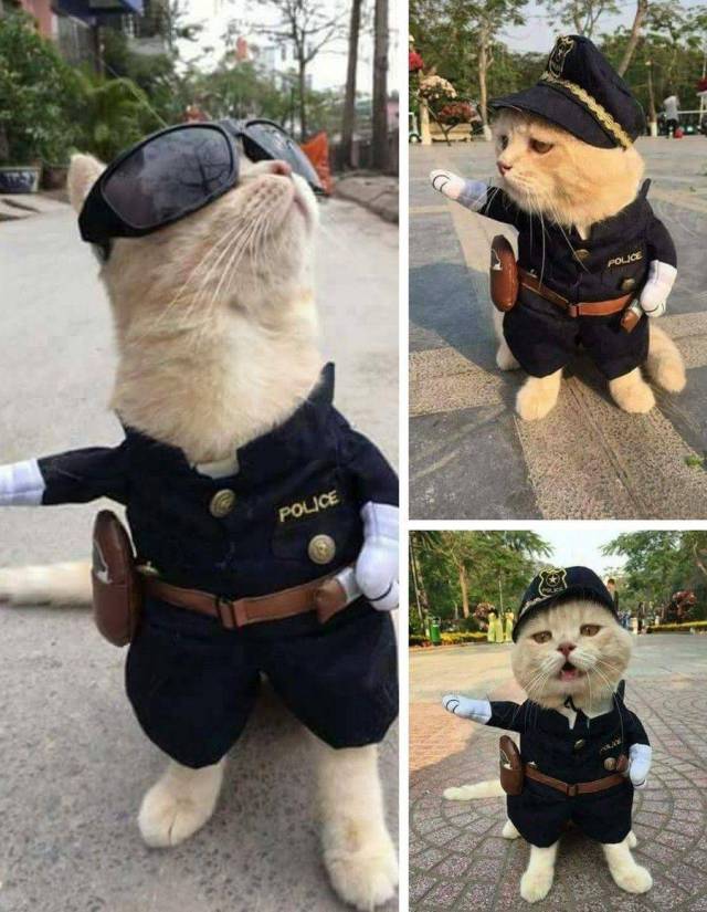Daily Picdump