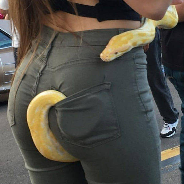 Morning Picdump