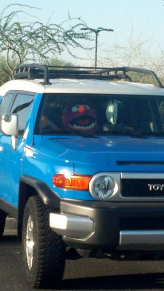 Morning Picdump