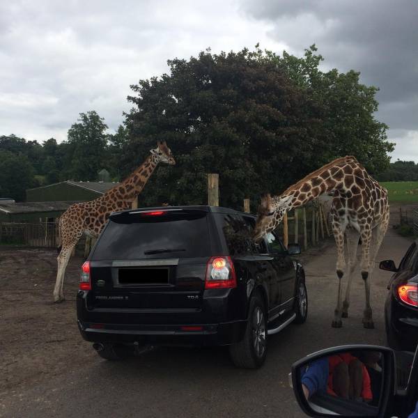 morning picdump 50 pics 22.html - 50 HD Photos | Premium Gallery 2017