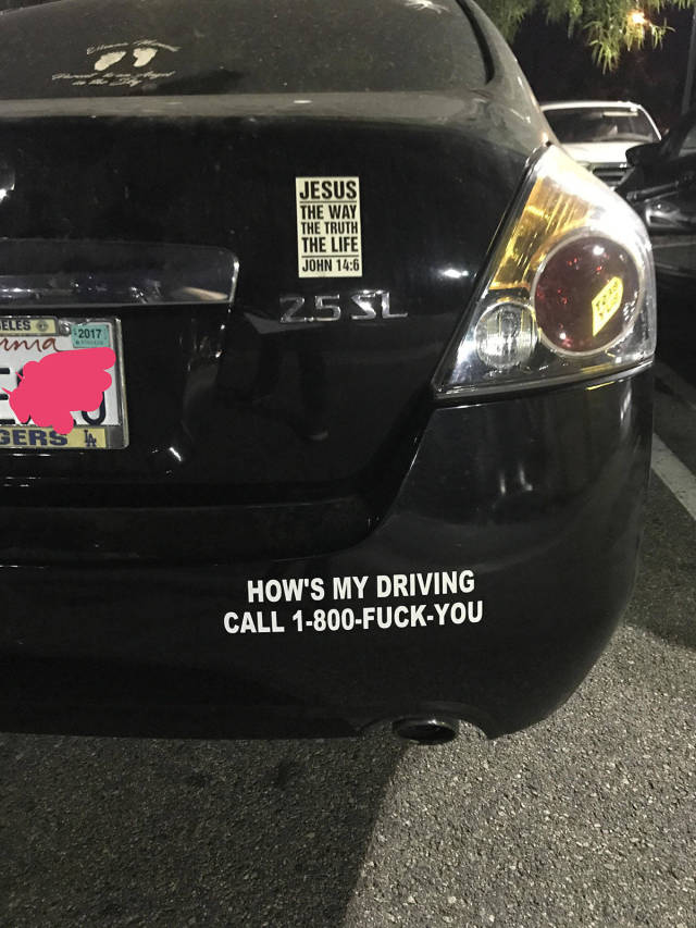 Morning Picdump